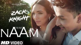 Tere Naam