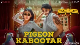 Pigeon Kabootar
