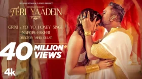 TERI YAADEIN